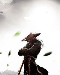我的王妃是男人百度